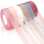 Store2508 6 Rolls Pastel Colours Sheer Chiffon Ribbon Organza Satin Ribbon for Wrapping Decorating Valentine's Day Wedding Birthday Bouquet Garland (50 Yard Each Roll)