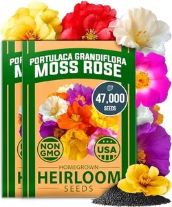 HOME GROWN Moss Rose Seeds 47,000+(Bulk Pack) Annual Flower for Ground Cover - Heirloom Non-GMO Portulaca Seeds for Planting Outdoors - Great for Low-Maintenance Gardens (Portulaca grandiflora)