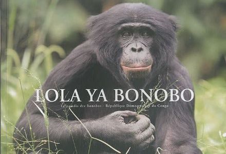 Lola ya bo