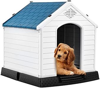 Dog House 