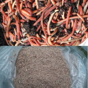 Wormcity 100L Wormery – Black Compost Bin for Organic Waste