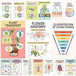 16 Science Posters for Classroom Mi