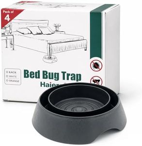 Bed Bug In
