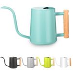 Watering Can Indoor Plants, 35oz Small Watering Can Indoor Stainless Steel Metal Watering Can Modern Decorative Watering Pot with Long Spout for Indoor House Plant Bonsai Garden Flowers (Green)