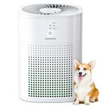 Air Purifier Do