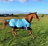 600D Light Weight Waterproof Horse Turnout Rug 100g Fill