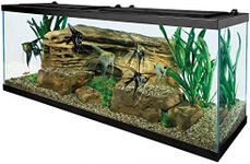 Tetra 55 Gallon Aquarium Kit with Fish Tank, Fish Net, Fish Food, Filter, Heater and Water Conditioners