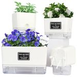 OurWarm Self Watering Planters Pots for Indoor Plants 4 Pack, 10/7/5.5/4.3 Inch Rectangular Window Herb Garden Planter Box, Plastic Flower Pots with Visual Water Level for Vegetables, Succulents, Ivy