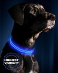 ILLUMISEEN LED Dog Collar USB Recha