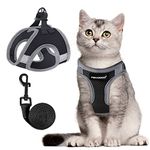 FAYOGOO Cat Harness and Lead Set, Cat Harness for Walking Escape Proof, Adjustable Cat Lead and Harness Set Lifetime Replacement, Easy Control Breathable Cat Leash with Reflective Strip (Black, S)