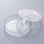 Labifie Borosilicate Glass Petri Dish, Diameter (100mm), Height (15mm), Pack of 5 Pcs.