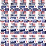 SINUOLIN 100pc Trump Stickers 2024 Trump 2024 TAKE America Back Bumper Stickers for Cars Window Laptop PVC Waterproof Non-Fading Trump Merchandise Sticker Anniversary Decals