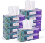 Plush Facial Tissues 130 Per Box Size 7" X 6.9" 2 Ply,Soft, Smooth, Great for Bathroom, Office, Store, School,Home, Kitchen, Or in Your Car & in Every Room (Family pack Pack of 10, 1300 Tissues total)