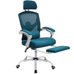 DUMOS Office Computer Desk Chair, Gaming Chairs for Adults, High-Back Mesh Rolling Swivel Reclining Chairs with Wheels, Comfortable Lumbar Support, Comfy Arms for Home, Office, Gaming, Student, Blue