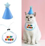 Pet Cat Dog Happy Birthday Bandana 