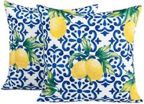 OHS Outdoor Cushions Lemon Print 45 x 45, Water Resistant Garden Furniture Cushions Sofa Cushion Covers for Inners Super Soft Comfy Decorative, Blue Pack of 2