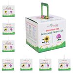 Giftonetree Grow Your Own Seasonal Flower Premium Kit - Pack of 6 - Best Return Gift For Kids Birthday Party (Seasonal Flower Kit, 6, count)