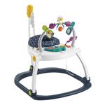 Fisher-Price Astro Kitty SpaceSaver Jumperoo Infant Activity Center