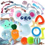Aitmexcn 20 Pcs Puppy Toys for Teething, Puppy Chew Toys with Cute Squeaky Dog Toys, Treat Ball, Puppy Teething Rings and Ropes, Rubber Toy Bundle for Small Dogs