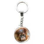 Deluxebase Magnidome Keychains - Orangutan from Crystal Glass Key Ring Charm. Domed shaped Monkey picture keyring with a stainless steel chain