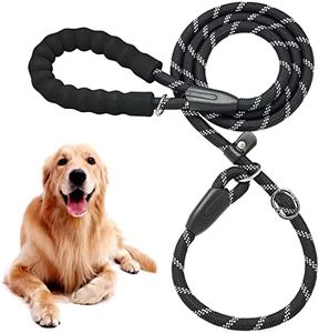 Qpets Dog 