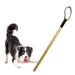 Jainsons Pet Products Dog Training Wooden Stick Length: 30 inch/ 2.5 Feet, Useful for Walking & Traning, Keep Safe Your pet from Outside Stray Animals