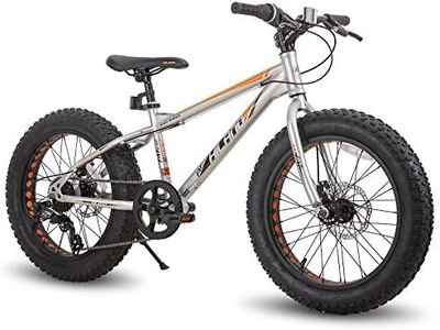 HH HILAND 20 Inch Kids' Bicycles Fat Tire Mountain Bike for Boys and Girls Age 5 + Years, 7-Speed, Dual-Disc Brake, Kids Beach and Snow Bicycle Sliver