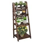 Topeakmart Wooden Ladder Shelf Plan