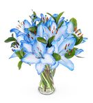 Ocean Lilies - Flowers - Fresh Bouquet - Birthday Flowers - Flowers Next Day - Thank You Flowers - Anniversary Flowers - Occasion Flowers - Get Well Flowers - Fresh Cut Flowers