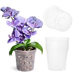 TRUEDAYS Clear Orchid Pot (6-Pack) - 6 inch Orchid Pots with Holes - Plastic Plant Pots for Orchid, Plants, Flower