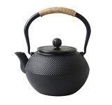 Hwagui-Japanese Cast Iron Teapot with Infuser, Japanese Teapots for Stovetop, Black 1200ml/41oz