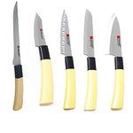 GUNS Multi-Purpose Kitchen Knife Set (Pack of 5) Knife, Santoku Knife, Boning Knife, Carving nives & Sashimi Knife for Cutting Fruits, Vegetable, Meat, Fish & More (Stainless Steel)