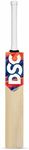 DSC Krunch Series Pro English Willow Cricket Bat, Size: Harrow