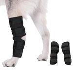 Compression Brace For Dogs