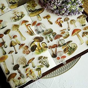 Doraking Mushroom Stickers - 100PCS Waterproof Paper Decals for Scrapbook Decoration, Sulfuric Adhesive, Irregular Shape, All in One Variety Pack