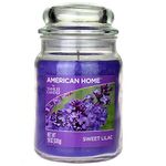 Yankee Candle 241469 Scented Fragrance Candles American Home Colllection Luxury Classic Large 19oz Glass Jar 538g[Sweet Lilac], Youth 11-13, Purple