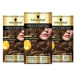 Schwarzkopf Oleo Intense Blonde Hair Dye, 3-Pack Permanent Oil Colour, No Ammonia, Covers Greys, 6-10 Dark Blonde