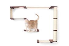 CatastrophiCreations Cat Mod Climb Track Handcrafted Wall Mounted Cat Tree Shelves, English Chestnut/Natural, One Size (528375911ENNAT)