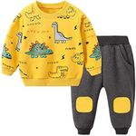 Toddler Baby Boy Clothing Sets Little Dinosaur Printed Long Sleeve Tops and Pants Kids 2pcs Outfits, 1-yellow, 1-2 Years