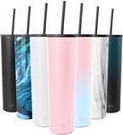 Simple Modern Insulated Tumbler wit