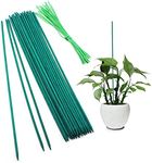 SAVITA 30Pcs Plant Support Sticks W