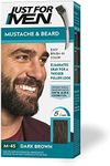 Just For Men Mustache & Beard, Bear