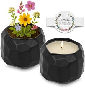 The Growing Candle, Chai Scented, 13oz Ceramic Pot, Aromatherapy Candles for Home, 100% Soy, Emma
