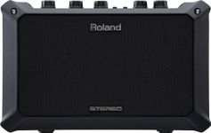 Roland Acoustic Amps