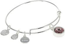 Alex and Ani Birthstones Expandable Bangle for Women, Birthday Crystal Charms, Shiny Finish, 2 to 3.5 in, One Size, Brass