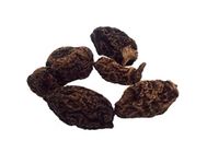 CircuitOffice 1 Oz High John The Conqueror Root (Ipomoea Jalapa), for Charms, Spells, Magick, Drawing Luck, Love, Success and Wicca, Ipomoea Jalapa root