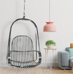 Kaushalendra Stainless Steel Swing Hammock Chair with Cushion & Accessory