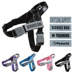 Paworld Dog Harness, Anti Pull Dog Harness Medium, Service Dog Vest with 4 PCS Reflective Patches, 2 Buckles with Safety Lock, Adjustable No-Choke Harness, for Outdoor Training Walking (Black, M)