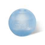 Planet Dog Orbee-Tuff Strobe Ball Blue Light Up LED Dog Toy