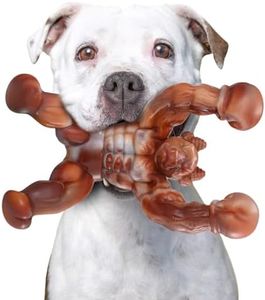 Zinbo Dog Toys for Aggressive Chewers, Indestructible Dog Toys, Toughest Nylon Dog Chew Toy with Real Bacon Flavor, Fun to Chew, Dog Bone Toys for Medium/Large Breed Dogs